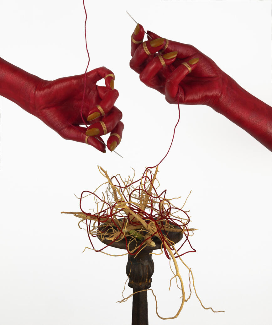 'The Guiding of Thread Through Golden Roots' - Still life photography