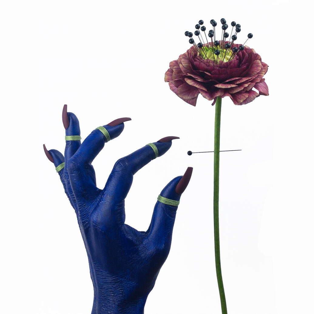 'Casting of a Floral Hex' - Still life photography