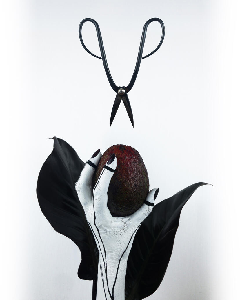 'Nature’s Reliquary' - Still life photography